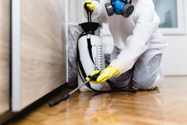 Best Commercial Pest Control Services  in Berino, NM