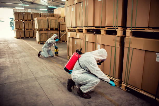 Best Mosquito Control Services  in Berino, NM