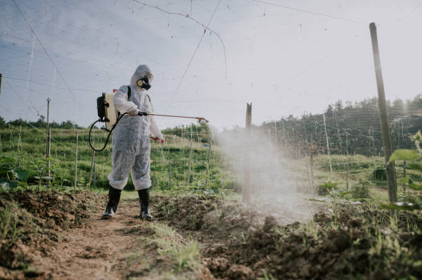 Best Best Pest Control Companies  in Berino, NM