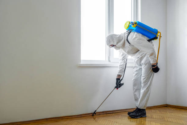 Best Insect Control  in Berino, NM