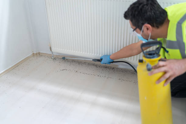 Best Bed Bug Extermination  in Berino, NM